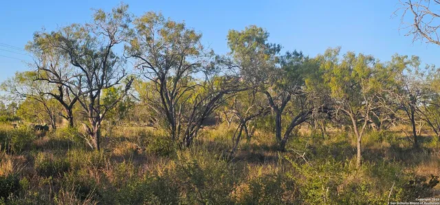 a view of lake with green space
