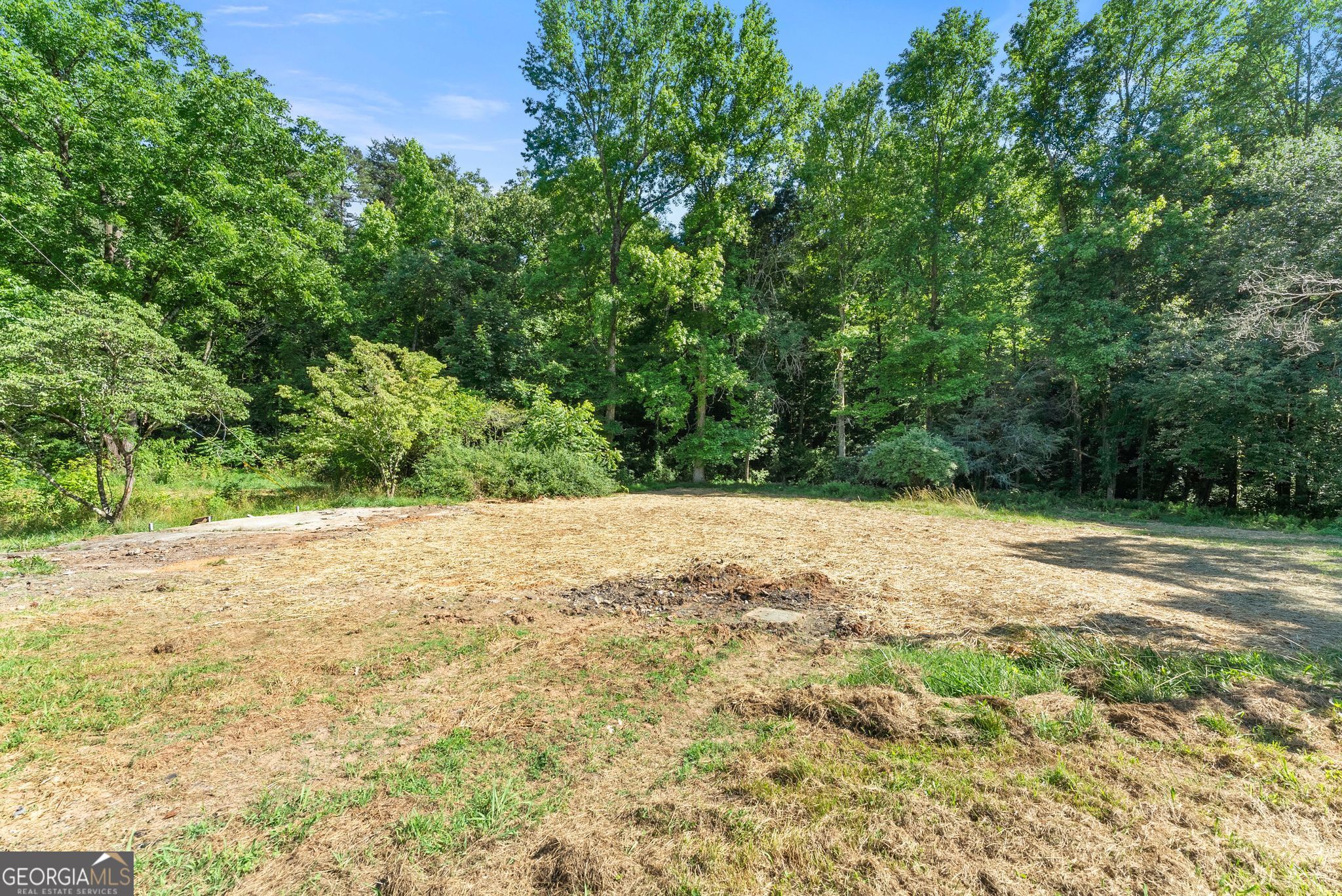 638 Hazel Creek Road Mount Airy, GA 30563 - Photo 39 of 50