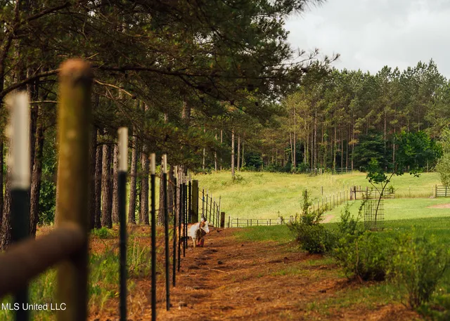 $675,000 | 2388 Attala Road 5238, Ethel, MS 39067