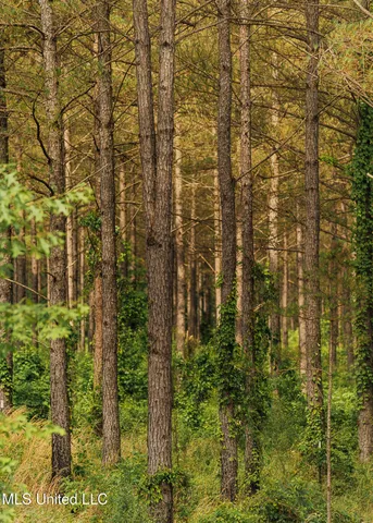 $675,000 | 2388 Attala Road 5238, Ethel, MS 39067