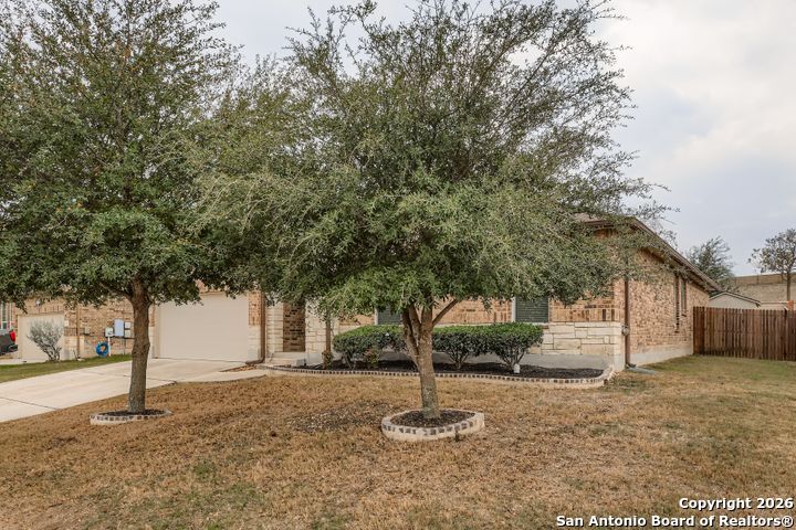 321 Blaze Moon Cibolo, TX 78108 - Photo 3 of 26