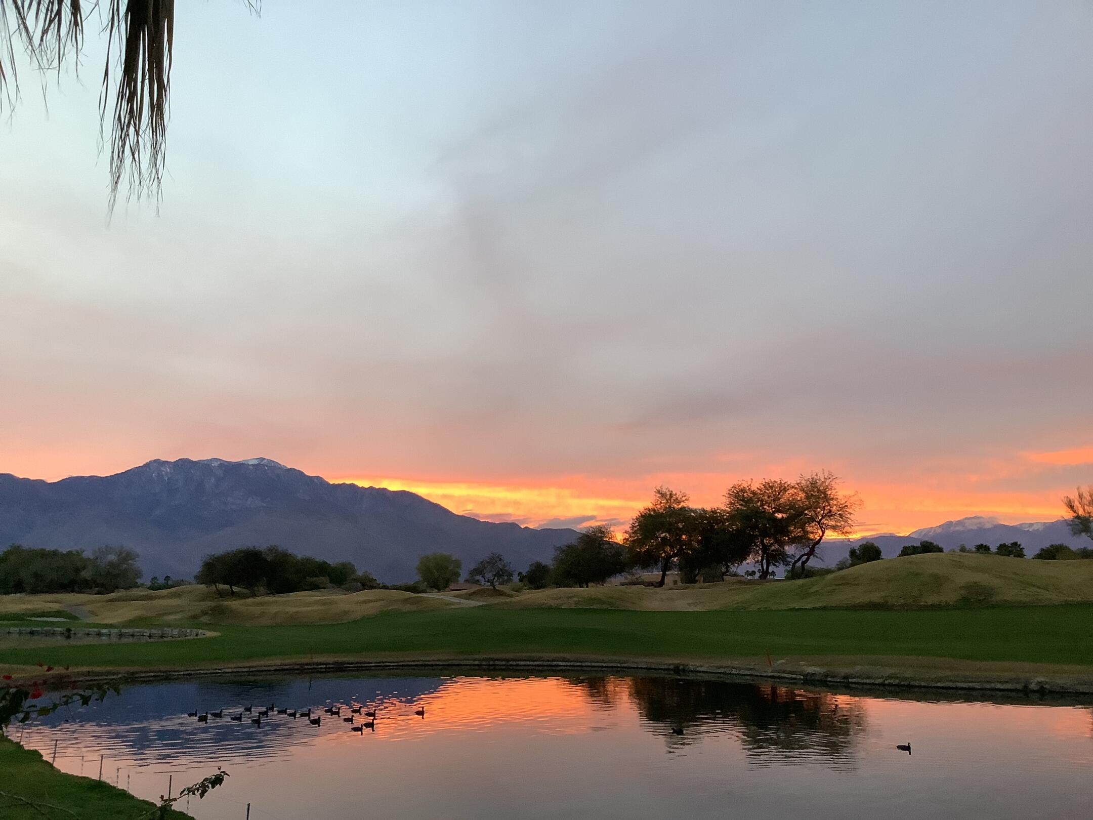 392 Loch Lomond Road Rancho Mirage, CA 92270 - Photo 35 of 55 IMG_0773