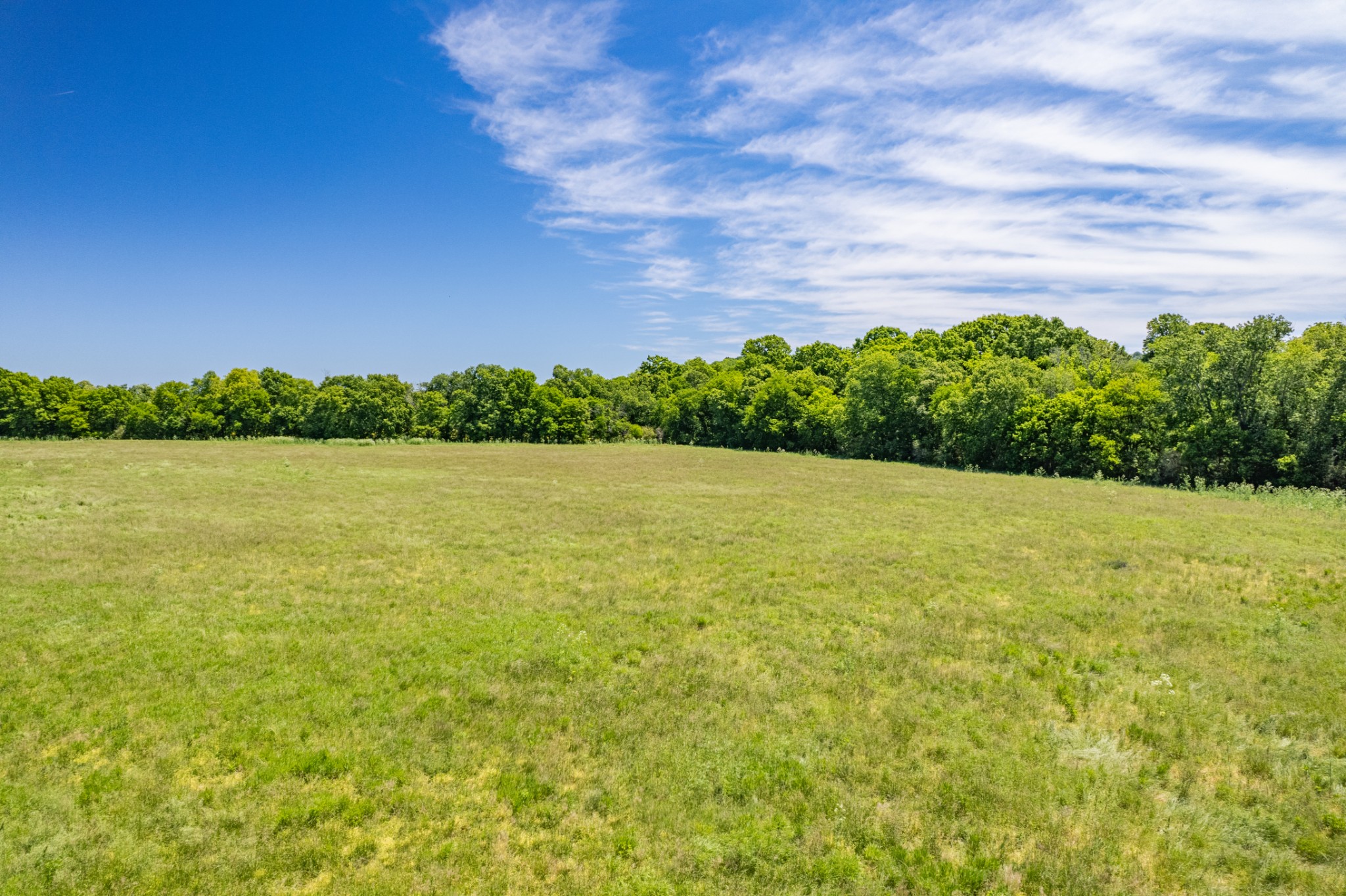32 Hart Leonard Road Cornersville, TN 37047 - Photo 8 of 58 a view of a lake view