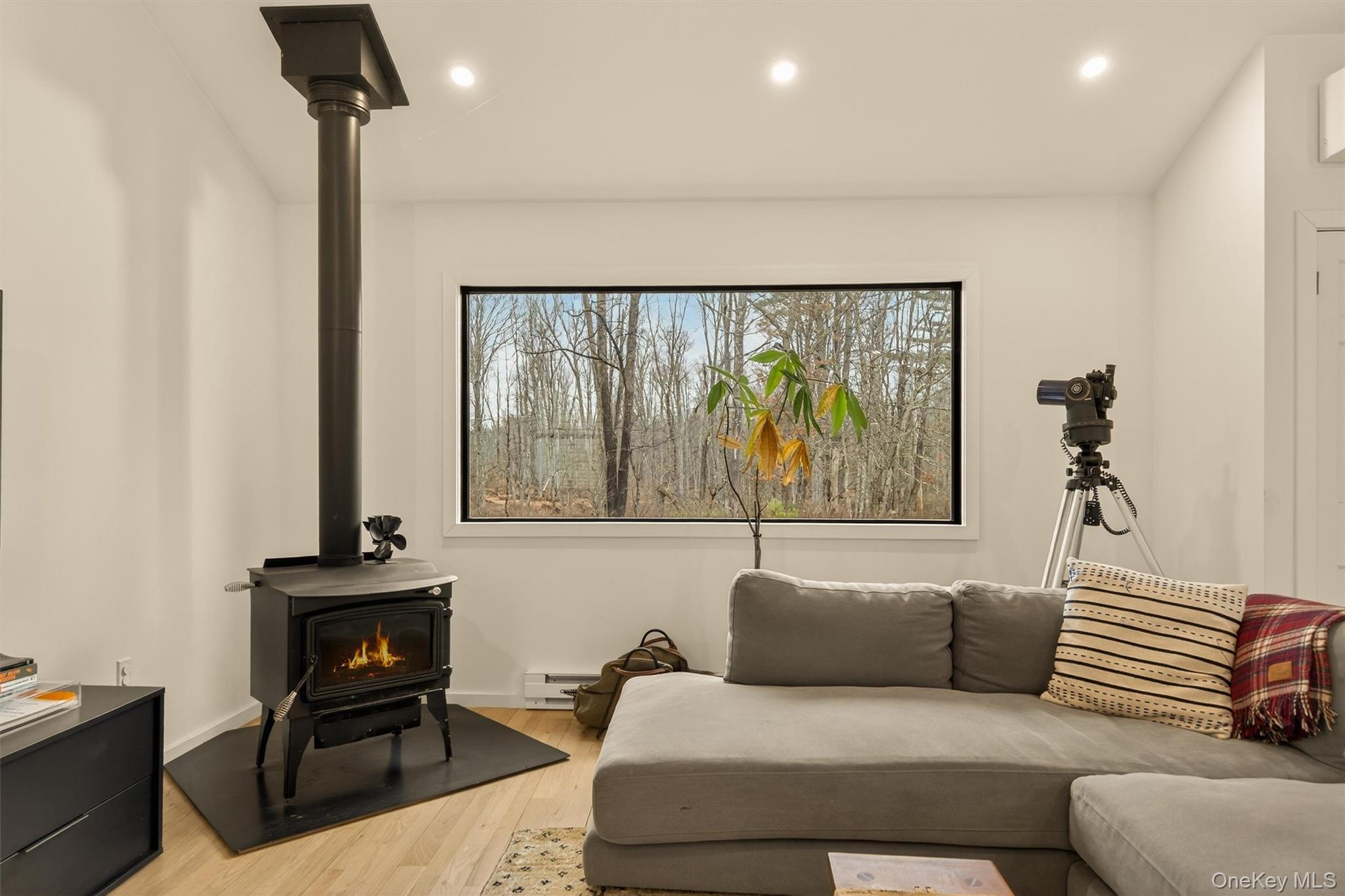 351 Gables Road Narrowsburg, NY 12764 - Photo 21 of 49 a living room with furniture a couch and a window