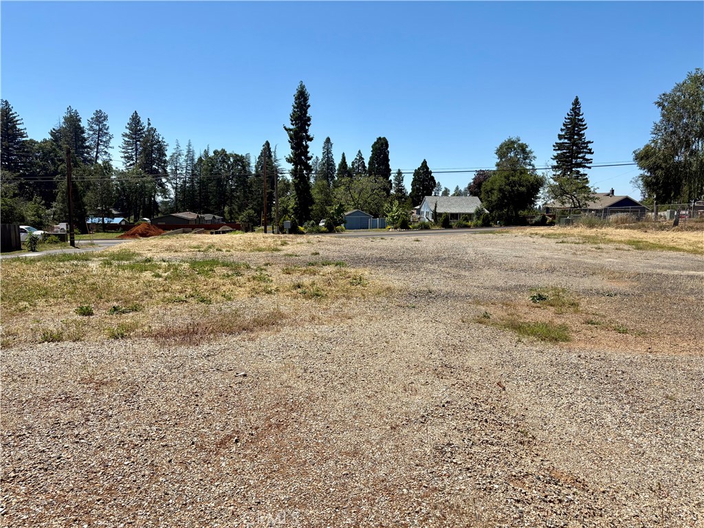 1123 Bille Road Paradise, CA 95969 - Photo 5 of 12 a view of a yard with trees