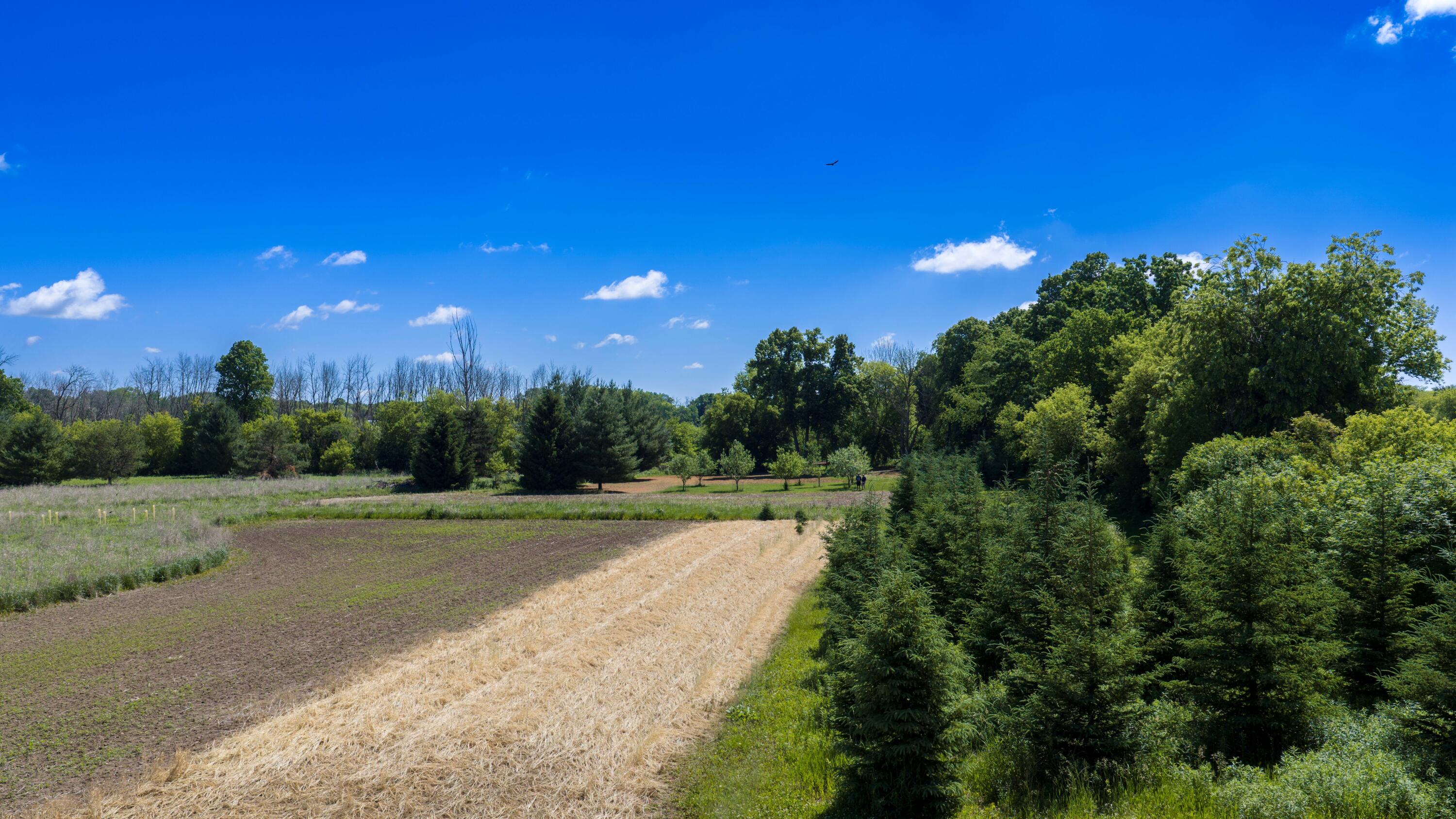 W985 Fur Farm Road New Holstein, WI 53061 - Photo 55 of 57 DJI_20260612103626_0484_D