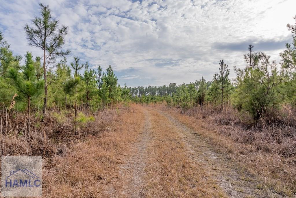 3 Reddish Road Screven, GA 31560 - Photo 36 of 55 Gallery Image 36