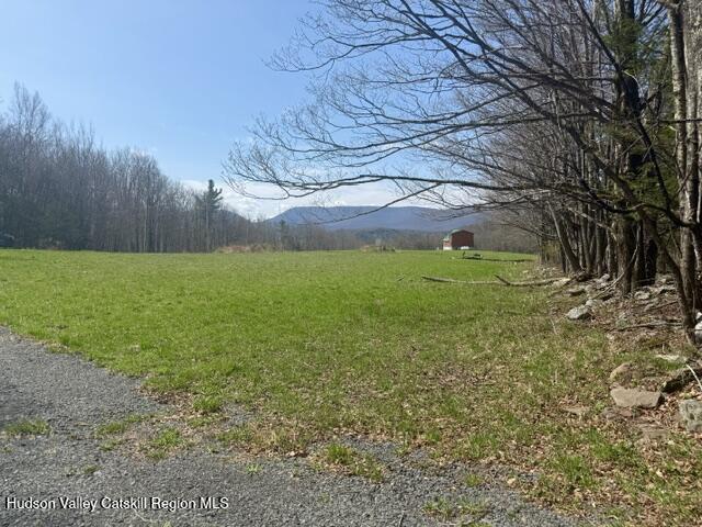 0 Van Etten Road Prattsville, NY 12468 - Photo 30 of 34 IMG_3144
