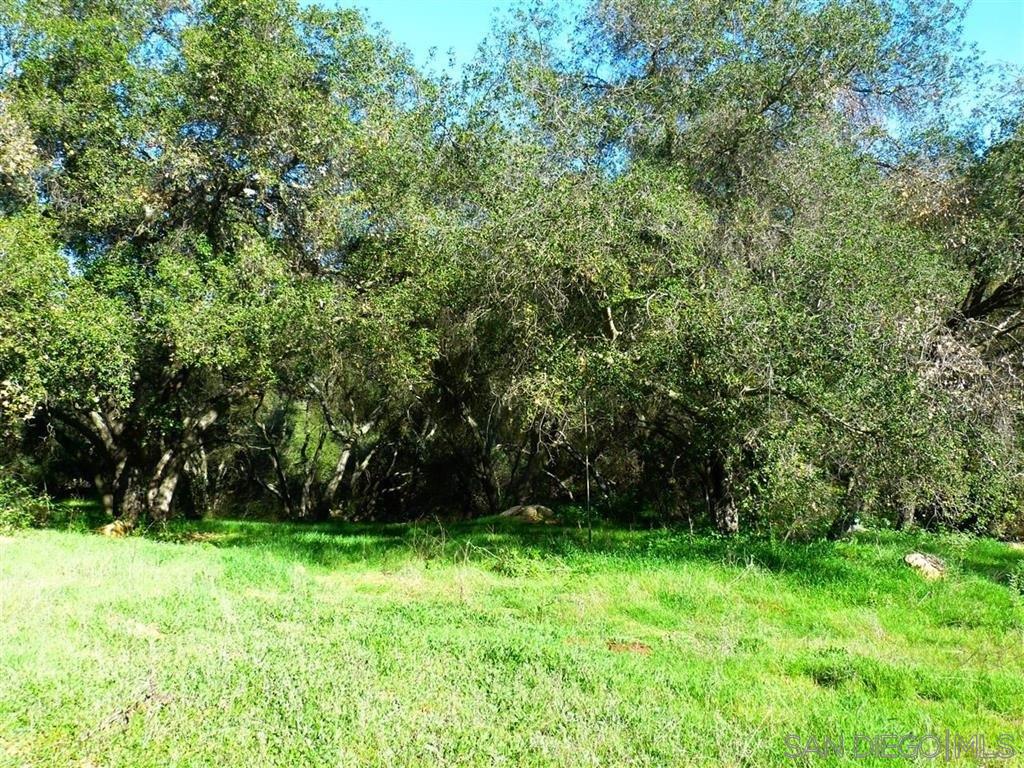 0 Ridge Canyon Road Valley Center, CA 92082 - Photo 7 of 15 a view of yard