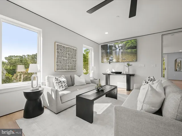 a view of a park with large trees