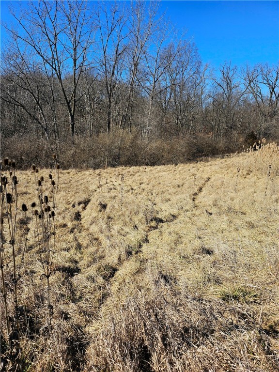 East 1000th Road Casey, IL 62420 - Photo 31 of 42 Gallery Image 31