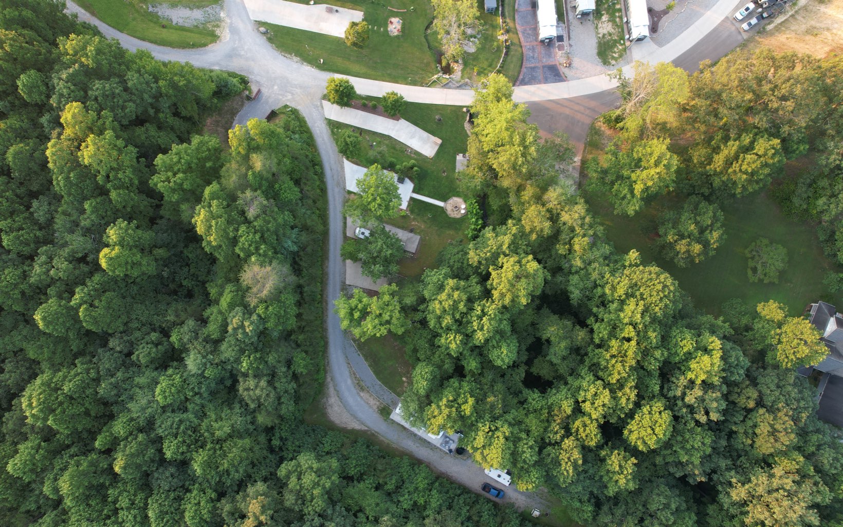 Meadow Hill Morganton, GA 30560 - Photo 30 of 30 a view of a garden