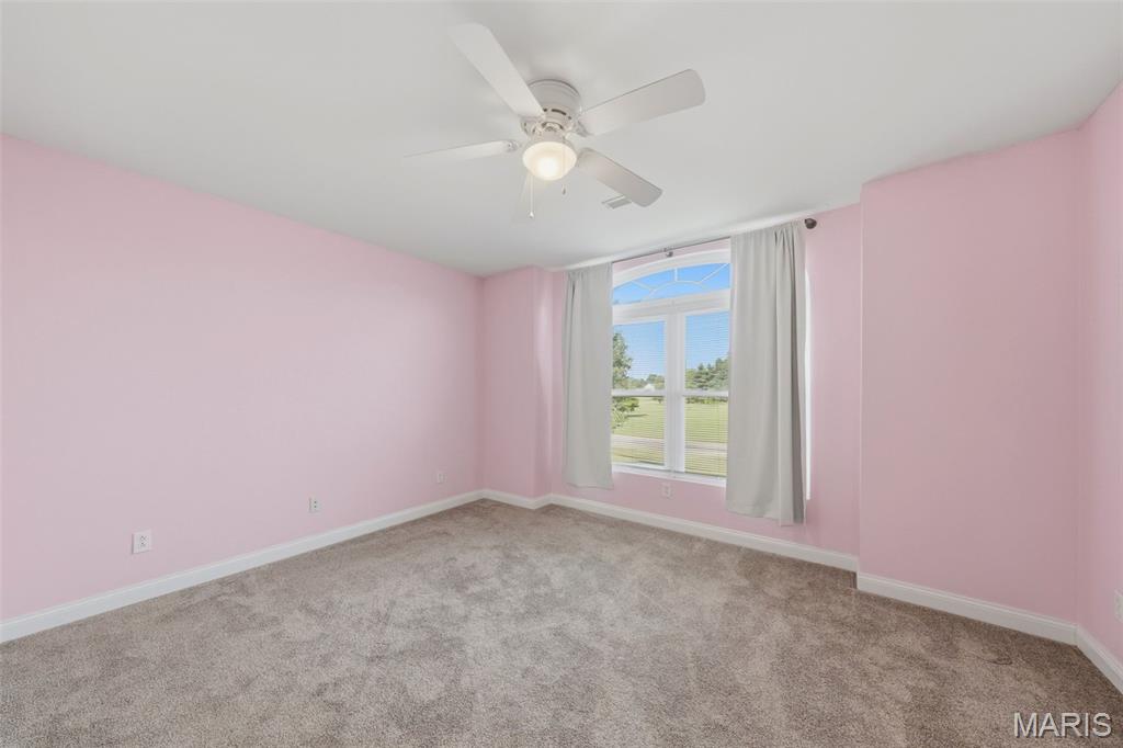 4722 Timber View Drive Waterloo, IL 62298 - Photo 40 of 52