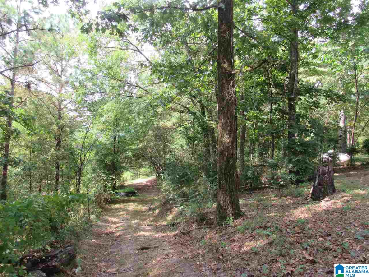 175 County Road 772 Montevallo, AL 35115 - Photo 27 of 50