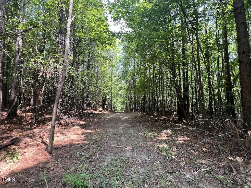 5 Todd Road Roxboro, NC 27574 - Photo 13 of 39 a view of a forest with trees in the background