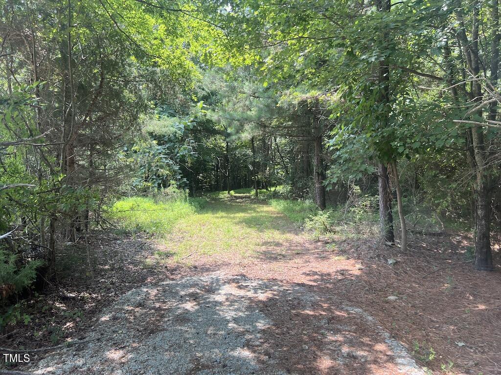 5 Todd Road Roxboro, NC 27574 - Photo 15 of 39 a view of outdoor space with trees all around