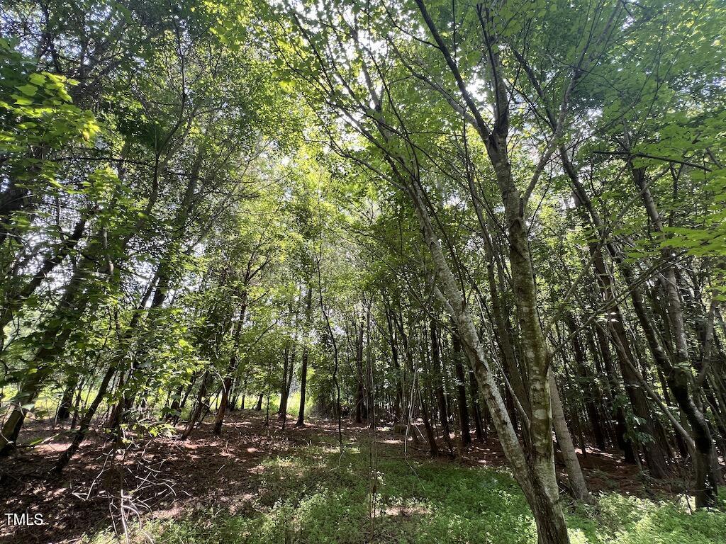 5 Todd Road Roxboro, NC 27574 - Photo 16 of 39 a view of outdoor space and yard