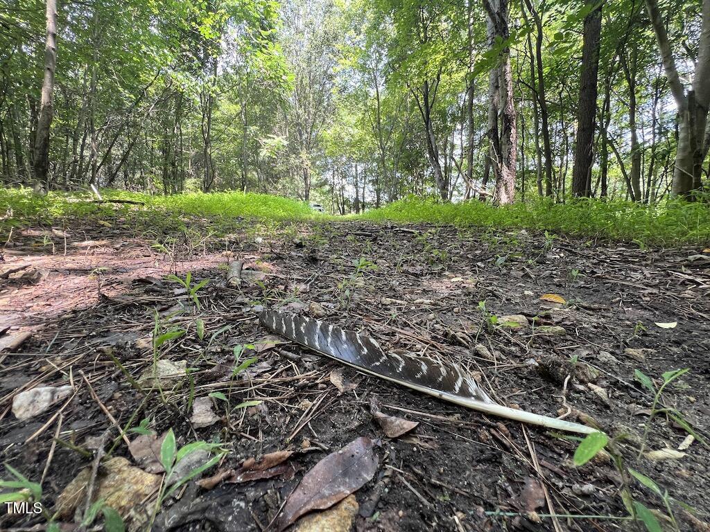 5 Todd Road Roxboro, NC 27574 - Photo 17 of 39 a view of a yard with large trees