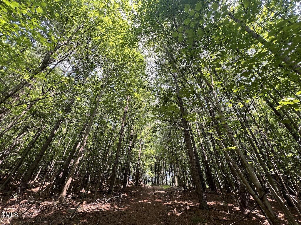 5 Todd Road Roxboro, NC 27574 - Photo 18 of 39 a view of forest