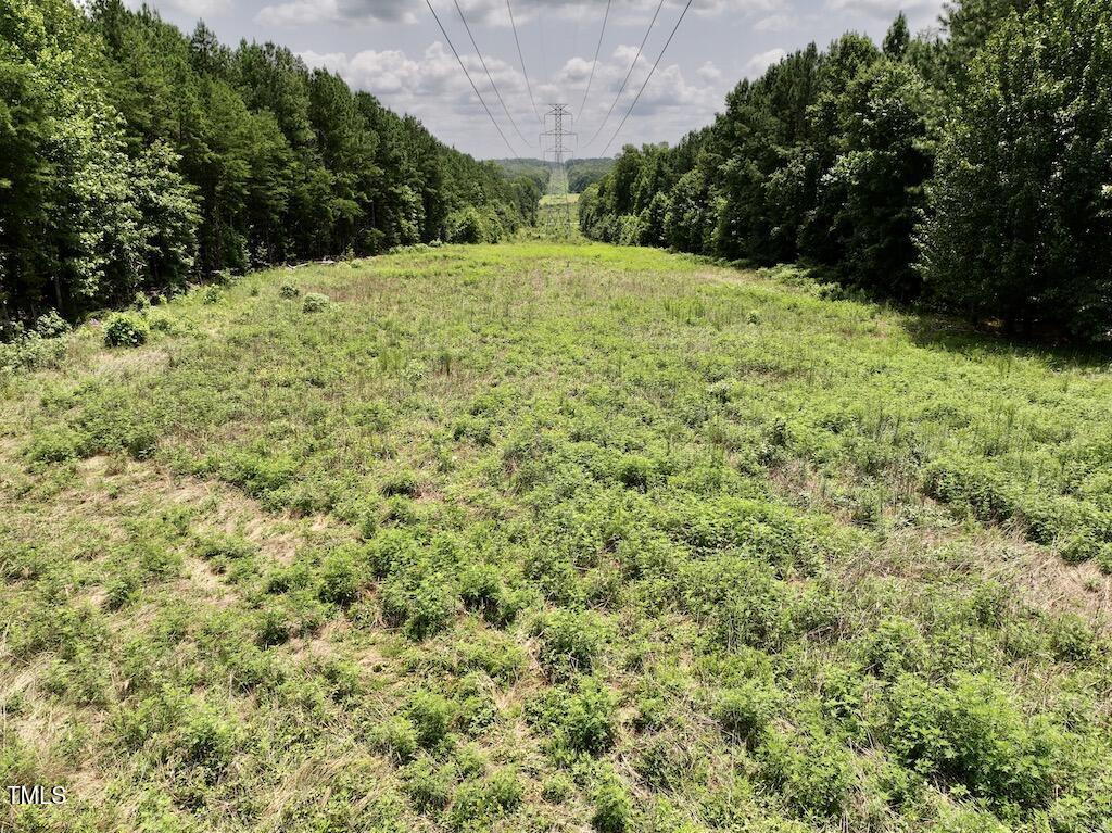 5 Todd Road Roxboro, NC 27574 - Photo 34 of 39 a view of outdoor space and yard