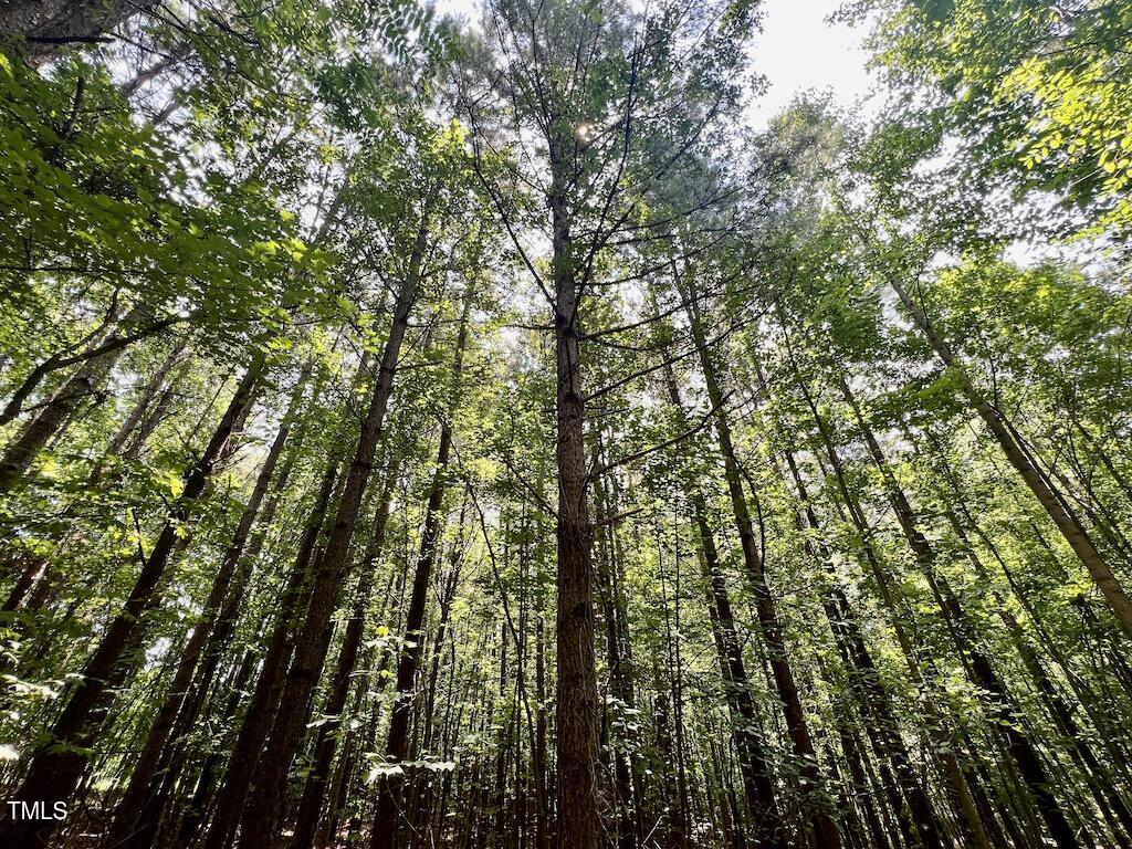 5 Todd Road Roxboro, NC 27574 - Photo 4 of 39 a view of a yard