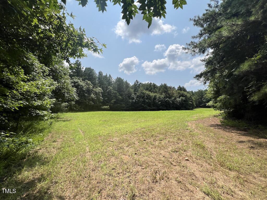 5 Todd Road Roxboro, NC 27574 - Photo 6 of 39 a view of a yard with an trees