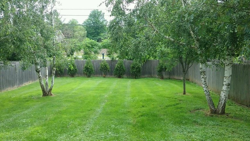 68 East Crystal Haven Road Castleton, VT 05732 - Photo 20 of 30