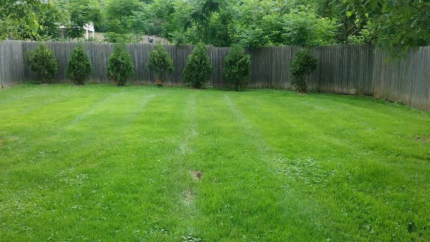 68 East Crystal Haven Road Castleton, VT 05732 - Photo 21 of 30