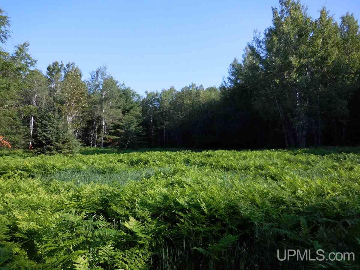 Tbd Tee Lake Road Germfask, MI 49836 - Photo 14 of 25