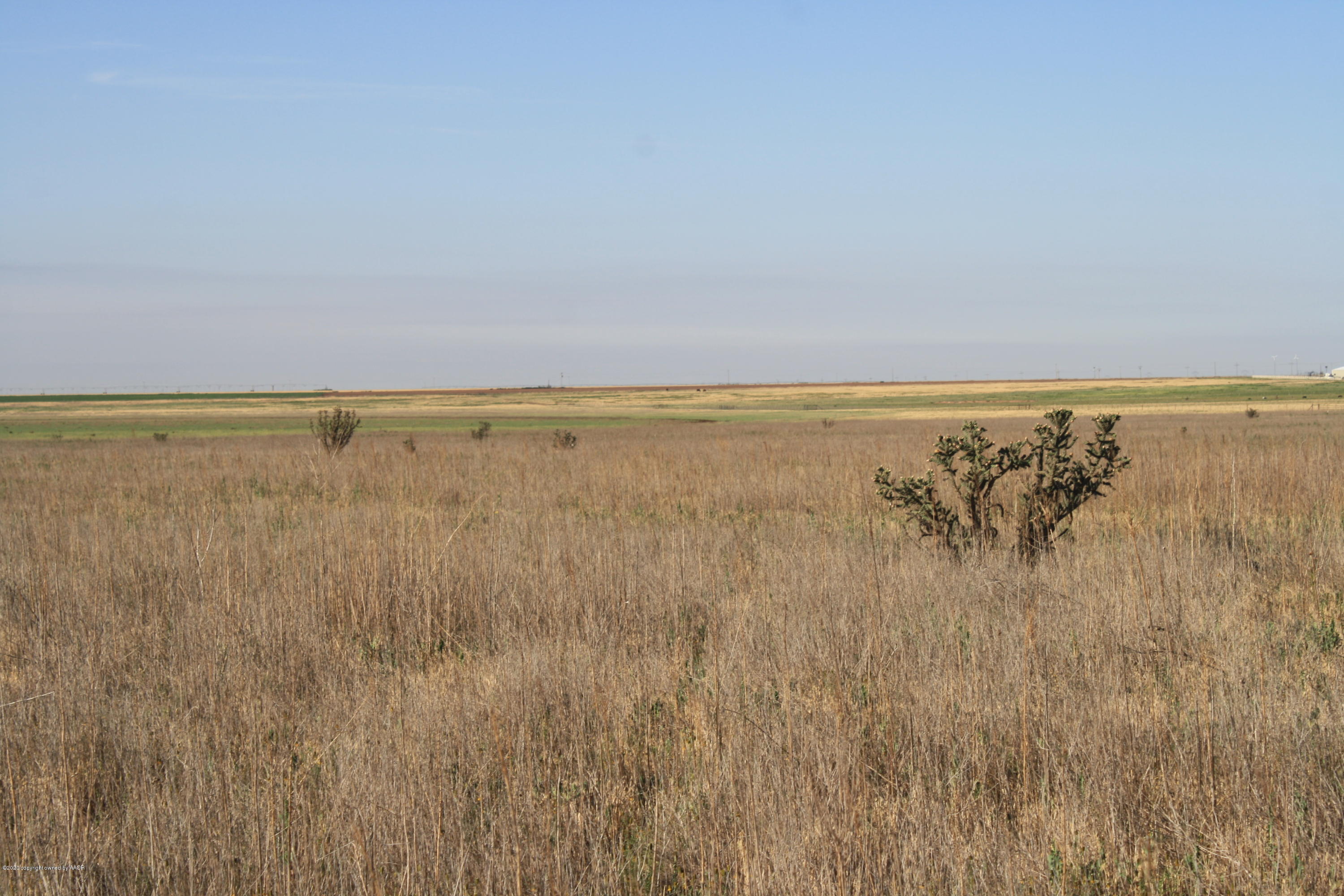 2186 West Hollywood Road Amarillo, TX 79119 - Photo 5 of 6 IMG_2706