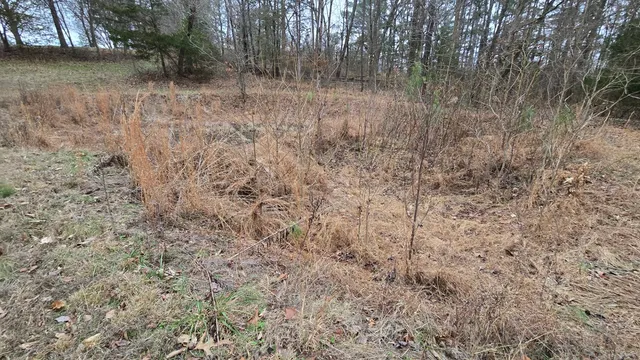 $1 | 9622 Old Highway 13, Murphysboro, IL 62966