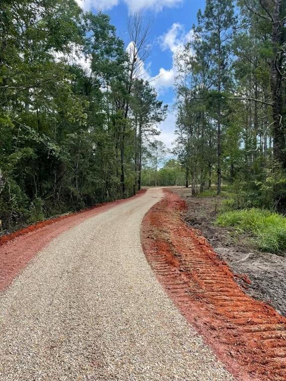 29878 Highway 22 Springfield, LA 70462 - Photo 2 of 12 Gallery Image 2