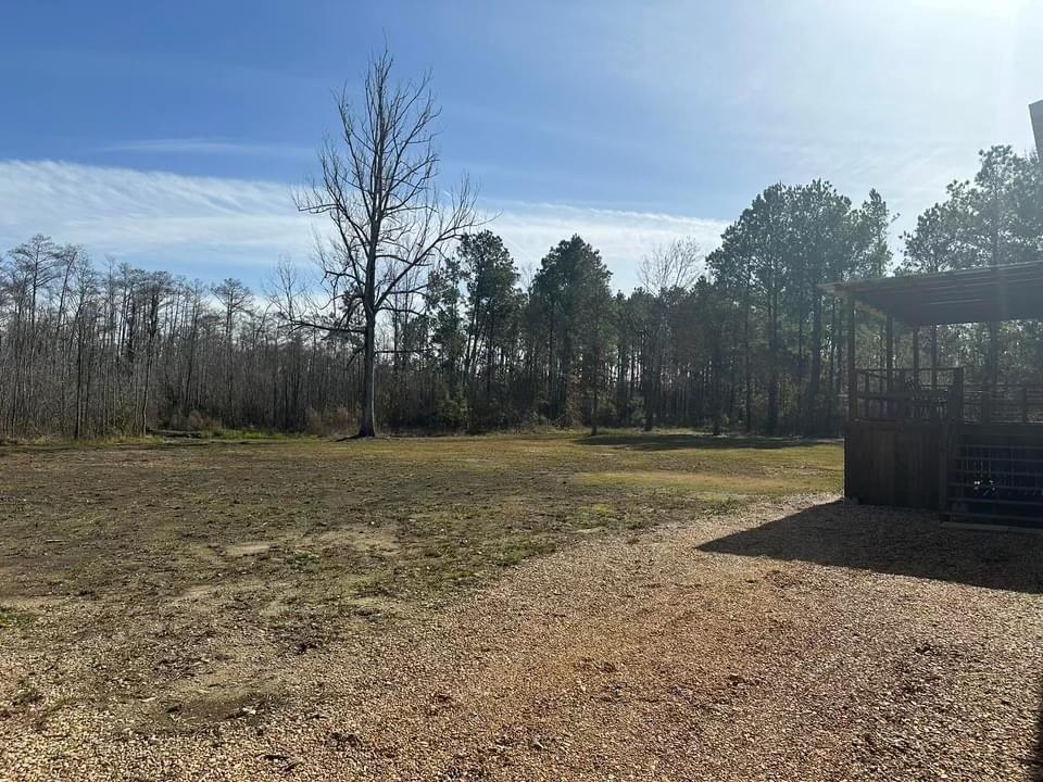 29878 Highway 22 Springfield, LA 70462 - Photo 3 of 12 Gallery Image 3