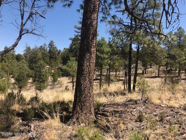 3337 Sawmill Ridge Loop Heber, AZ 85928 - Photo 1 of 7 Gallery Image 1