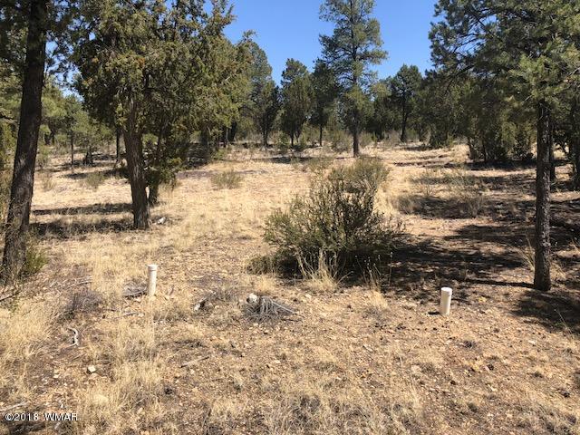3337 Sawmill Ridge Loop Heber, AZ 85928 - Photo 2 of 7 Gallery Image 2