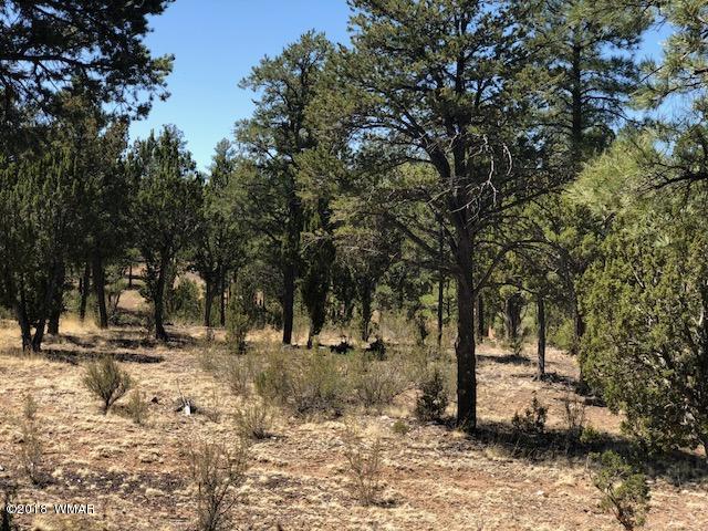 3337 Sawmill Ridge Loop Heber, AZ 85928 - Photo 4 of 7 Gallery Image 4