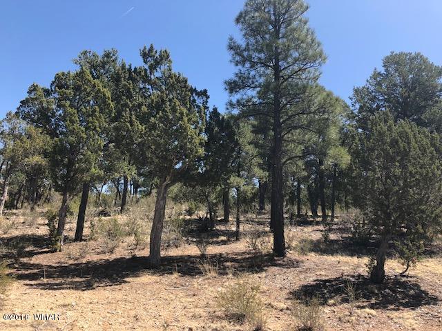 3337 Sawmill Ridge Loop Heber, AZ 85928 - Photo 5 of 7 Gallery Image 5