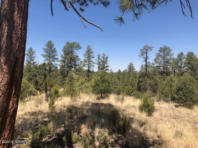 3337 Sawmill Ridge Loop Heber, AZ 85928 - Photo 6 of 7 Gallery Image 6