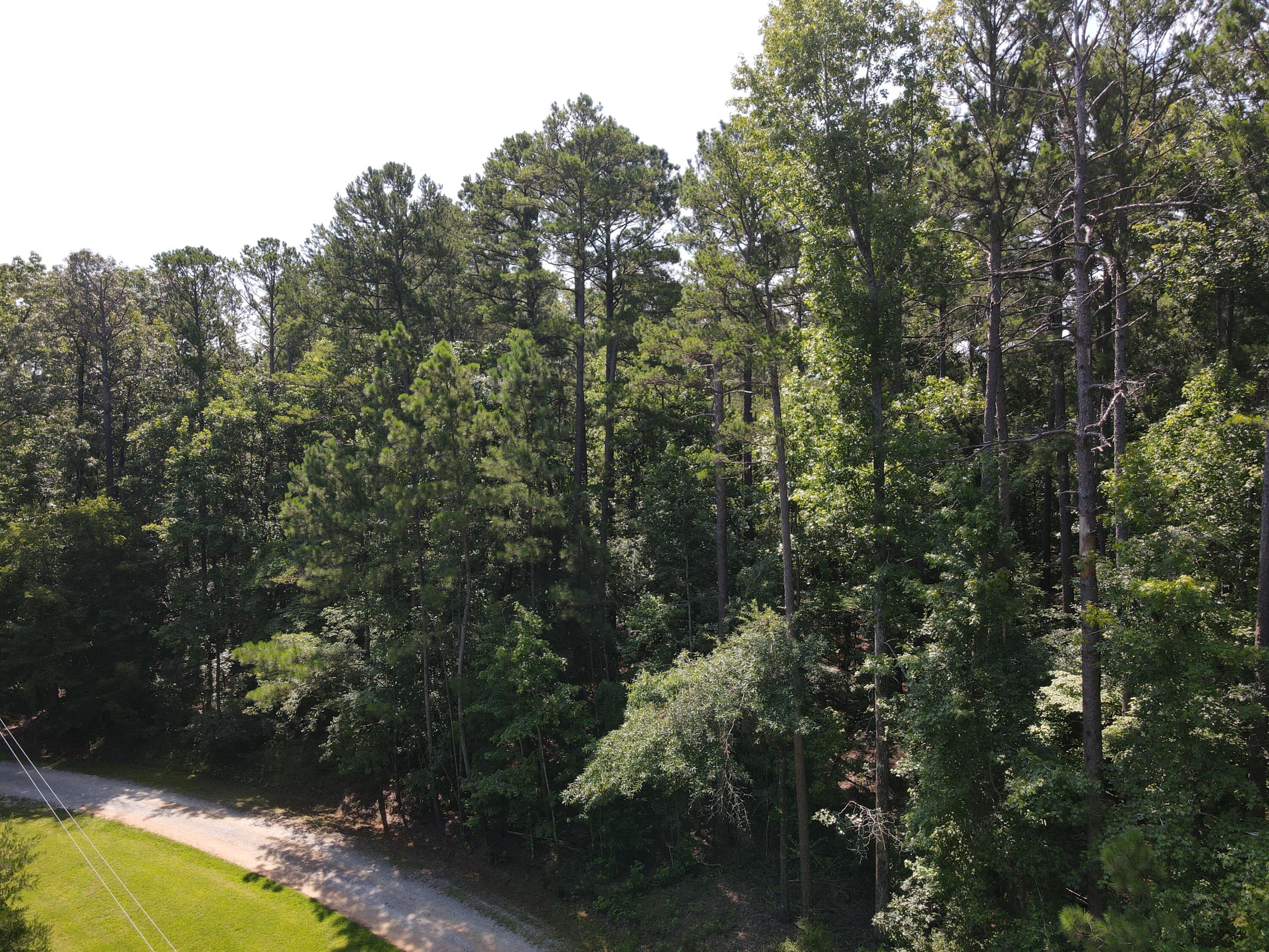 0 Forest Lake Drive Lincolnton, GA 30817 - Photo 1 of 6 Idyllic Location