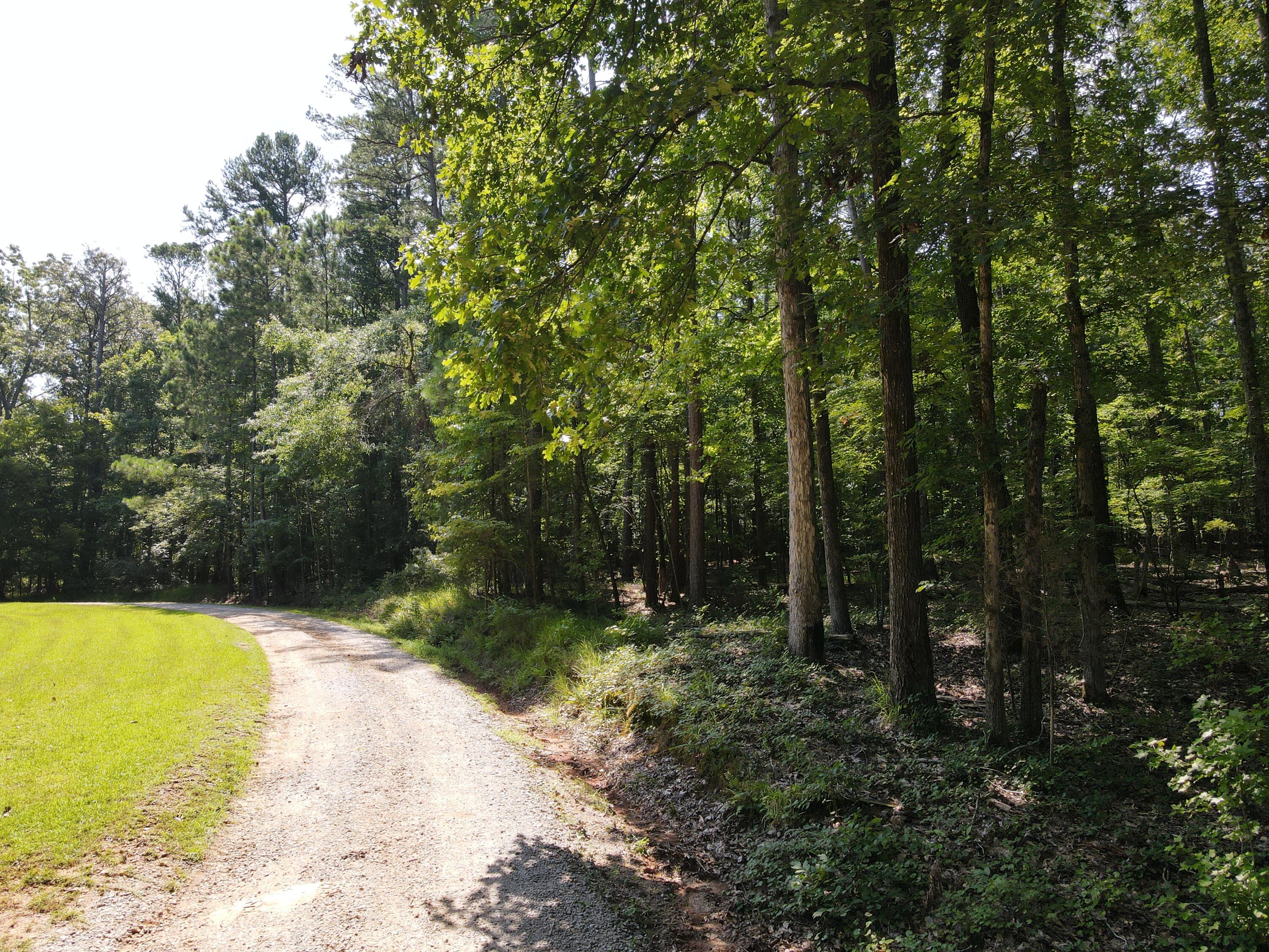 0 Forest Lake Drive Lincolnton, GA 30817 - Photo 2 of 6 Gravel Road Access