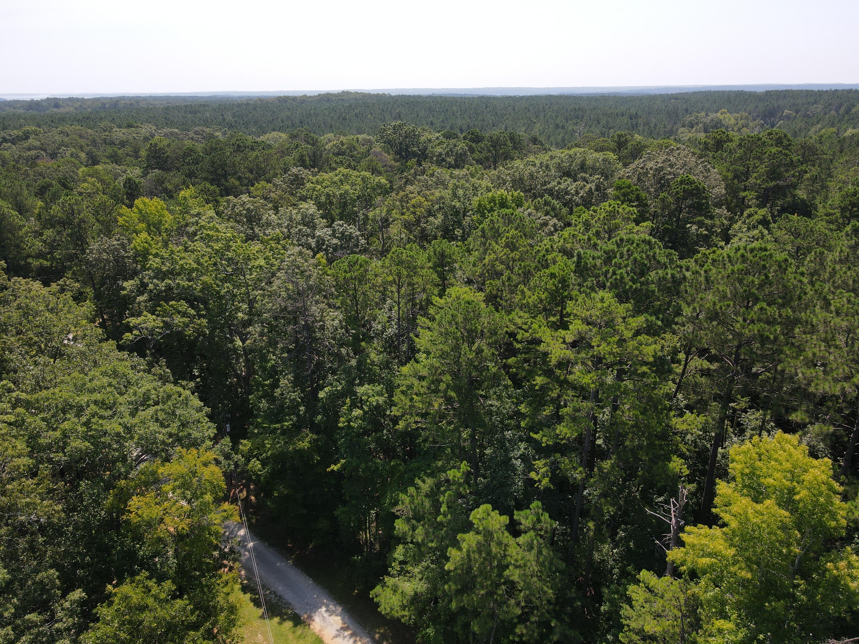 0 Forest Lake Drive Lincolnton, GA 30817 - Photo 3 of 6 Beautiful Timber