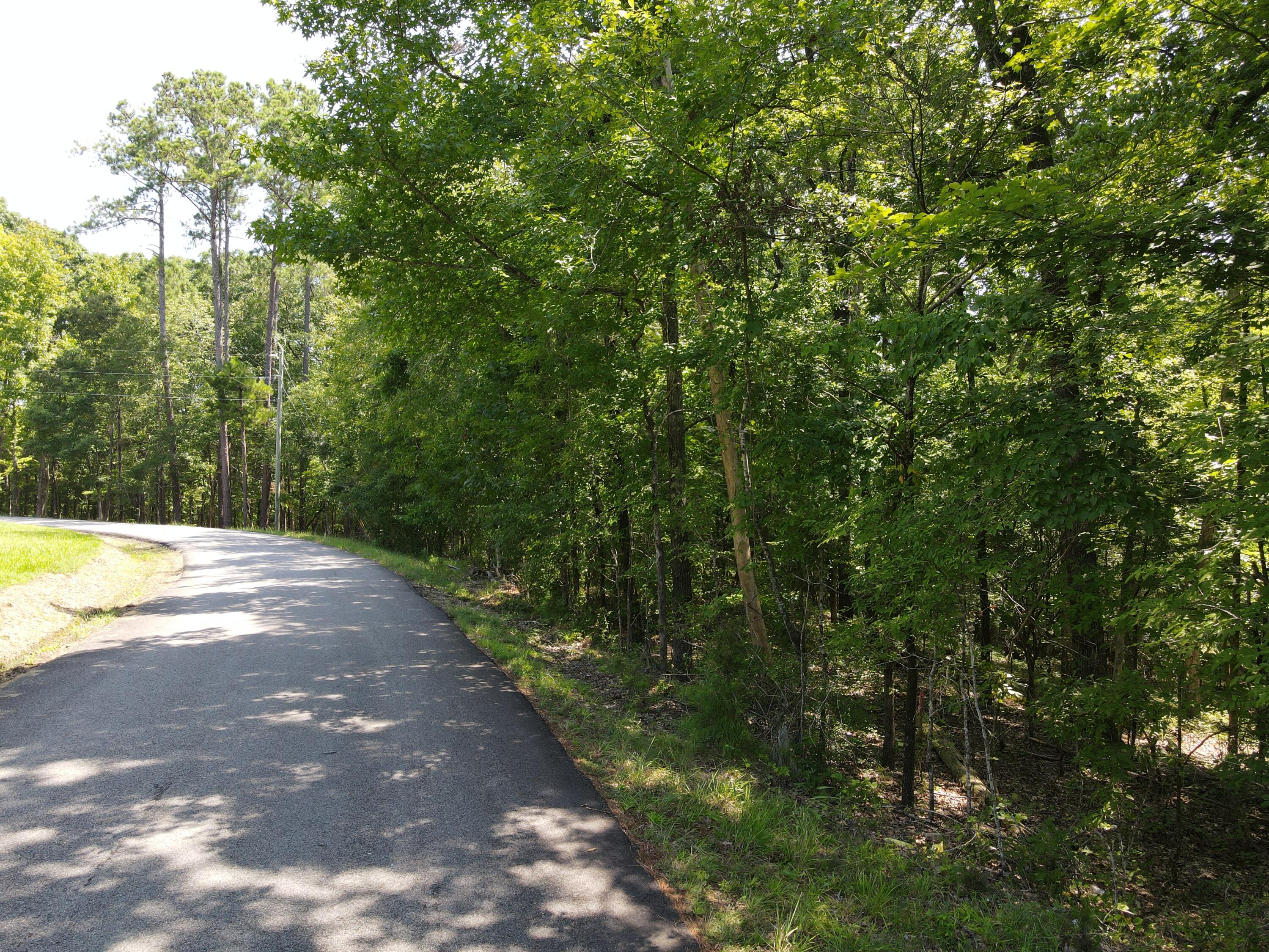 0 Forest Lake Drive Lincolnton, GA 30817 - Photo 4 of 6 Paved Road Access