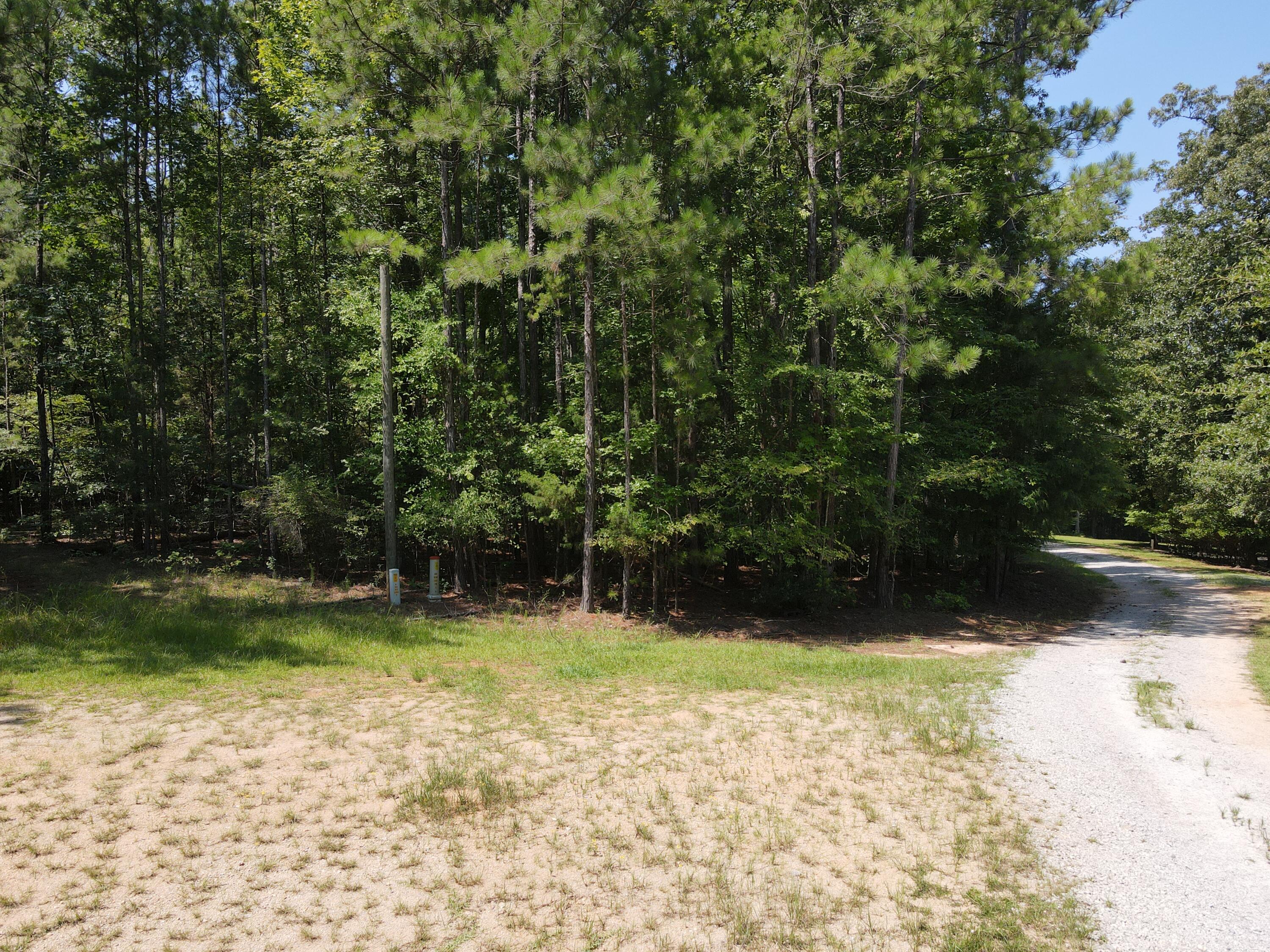 0 Forest Lake Drive Lincolnton, GA 30817 - Photo 6 of 6 Secluded and Peaceful