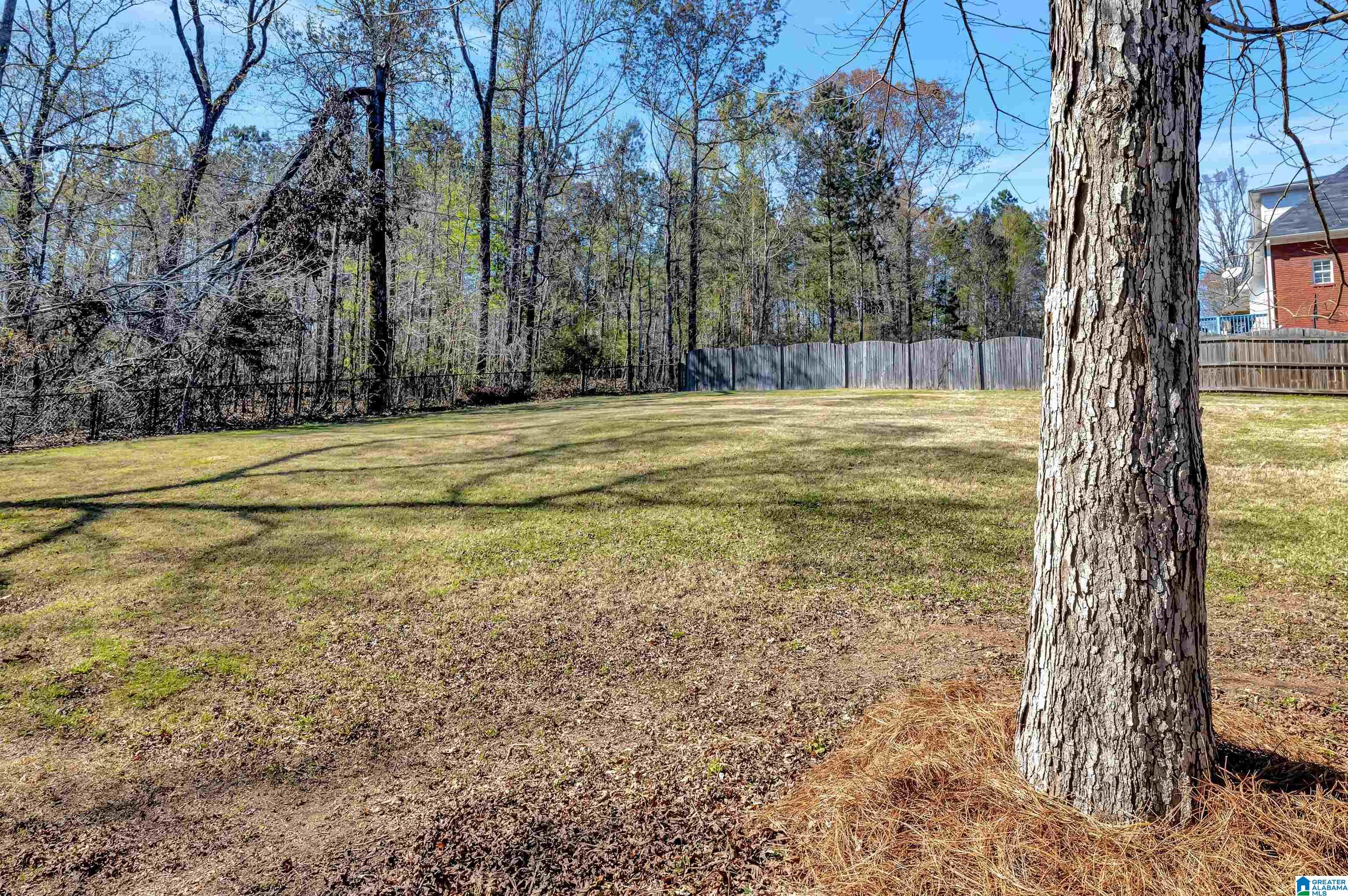 2535 Oakleaf Circle Helena, AL 35022 - Photo 6 of 39