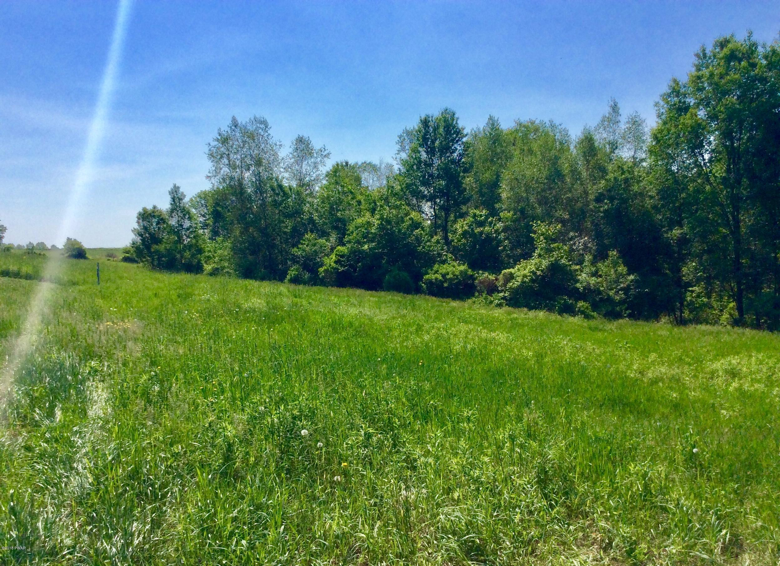 Jubinsky Road Waymart, PA 18472 - Photo 5 of 9