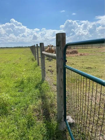 a view of a water from a yard