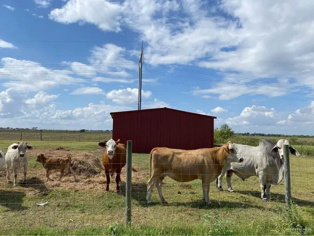 a view of yard from balcony