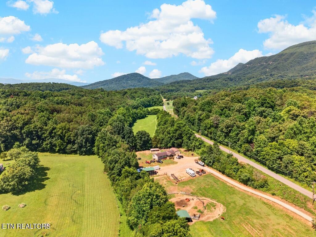 455 McGaha Chapel Road Cosby, TN 37722 - Photo 36 of 43 52B4D1FD-1C6E-4CCC-94A1-FA28FCDEB919_1_1