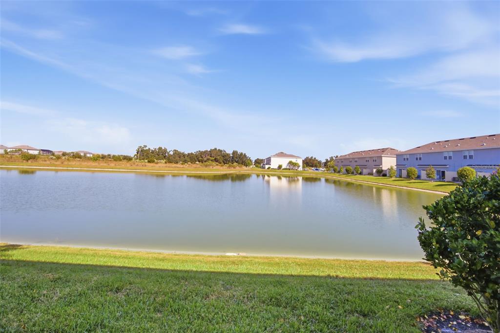 2407 Paravane Way Wesley Chapel, FL 33543 - Photo 30 of 32 a view of a lake with a city