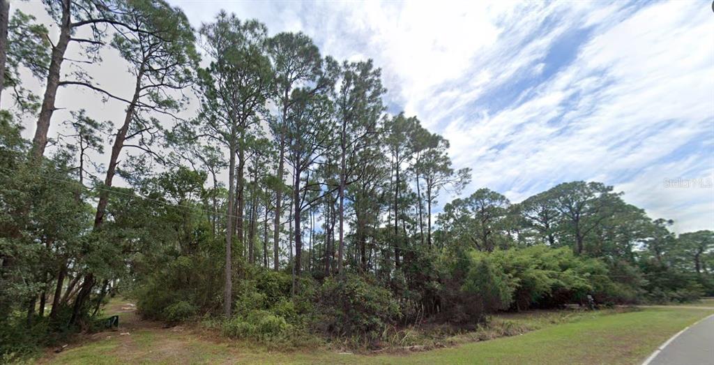 220 Levy Bay Road Panacea, FL 32346 - Photo 1 of 1 Gallery Image 1